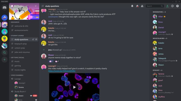 discord1